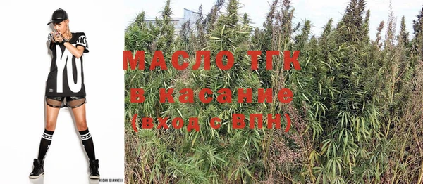 СК Протвино