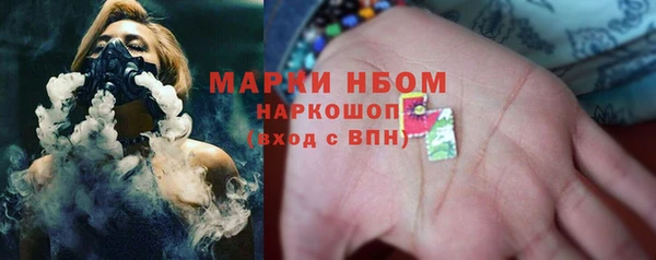 МДПВ Рославль