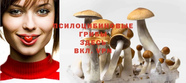 прущий лед Пролетарск