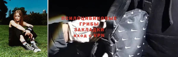 СК Протвино
