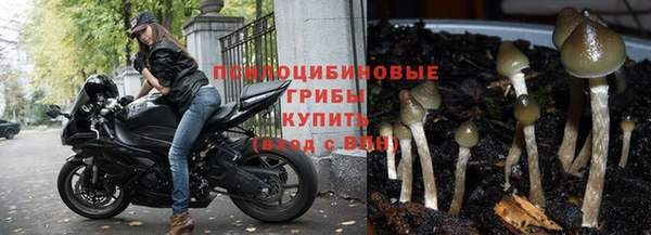 прущий лед Пролетарск