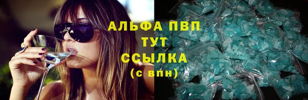 СК Протвино