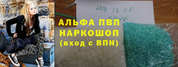 СК Протвино