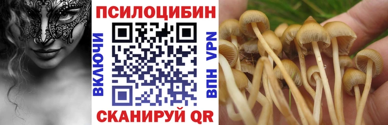 Галлюциногенные грибы GOLDEN TEACHER  Шацк 